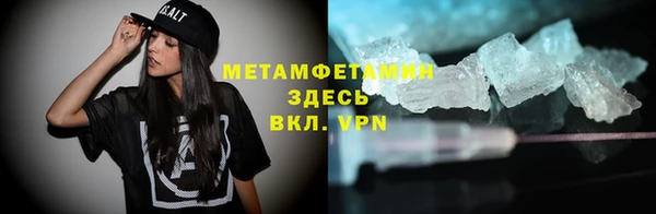 прущие грибы Балабаново