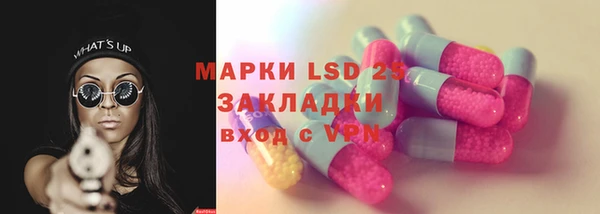 прущие грибы Балабаново