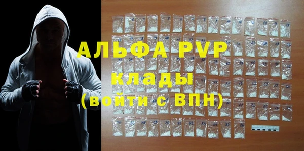 прущие грибы Балабаново