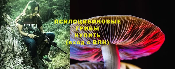 кокс Баксан