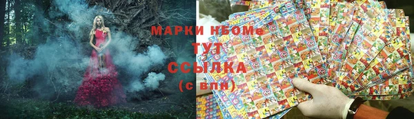 гашик Россошь