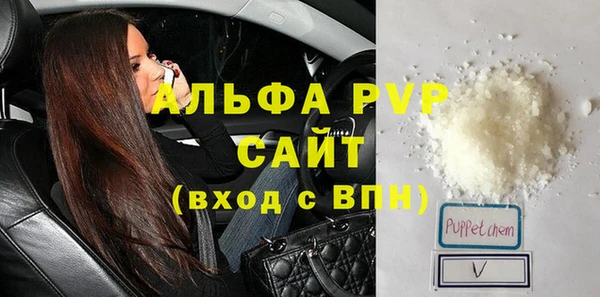 прущие грибы Балабаново