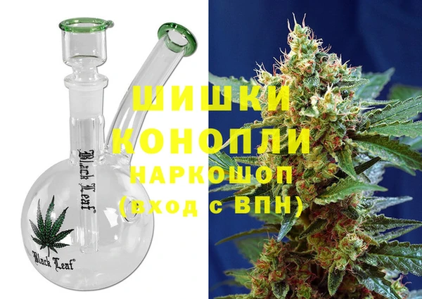 прущие грибы Балабаново