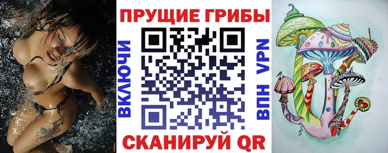 как найти   Вяземский  omg ТОР  Псилоцибиновые грибы MAGIC MUSHROOMS 